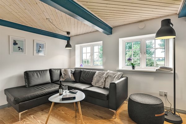 Sommerhus 29-2520