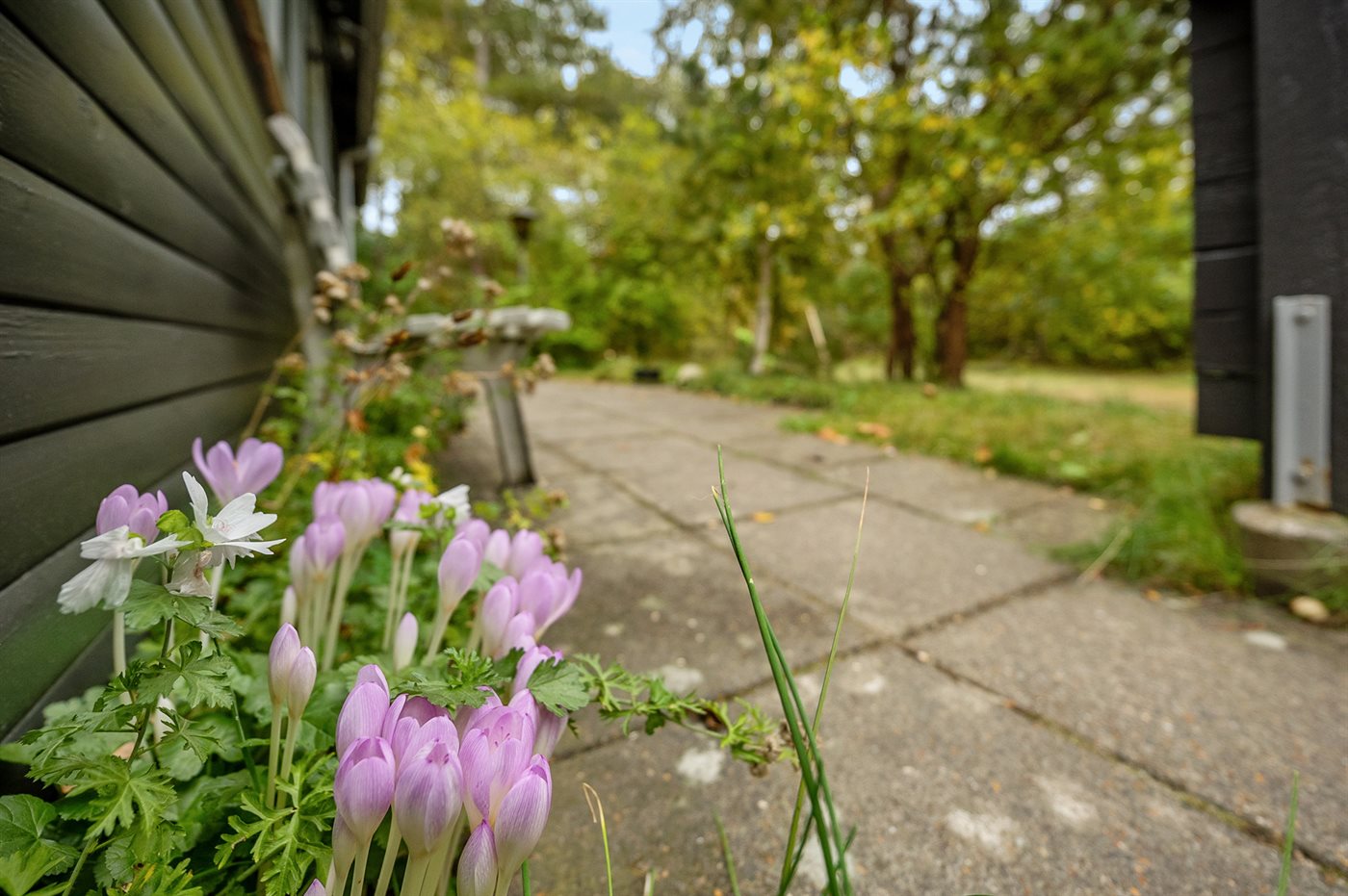 Ferienhaus 29-2545 in Römö, Kongsmark - Bild 2