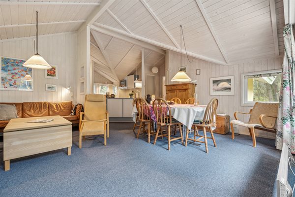 Sommerhus 29-2595