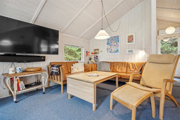Sommerhus 29-2595