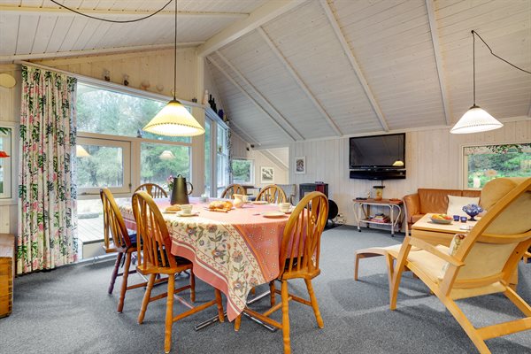 Sommerhus 29-2595