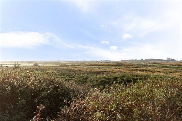 Sommerhus 29-2628