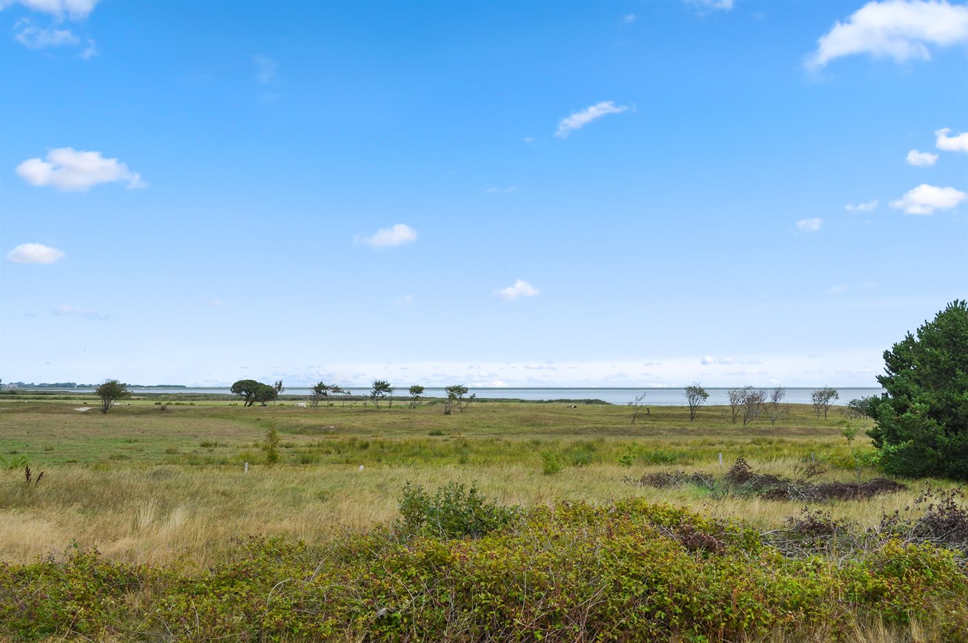 Kleinod mit Meerblick – Entspannung pur in Kongsmark! - Bild 5