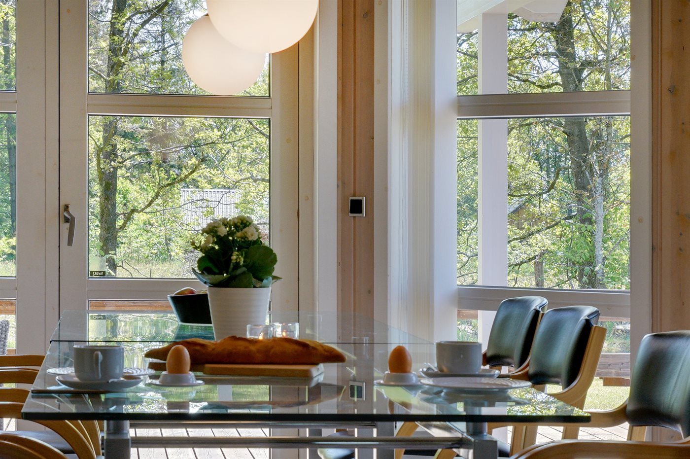 Dein Traum-Ferienhaus in Arrild – Natur & Entspannung pur! - Bild 4