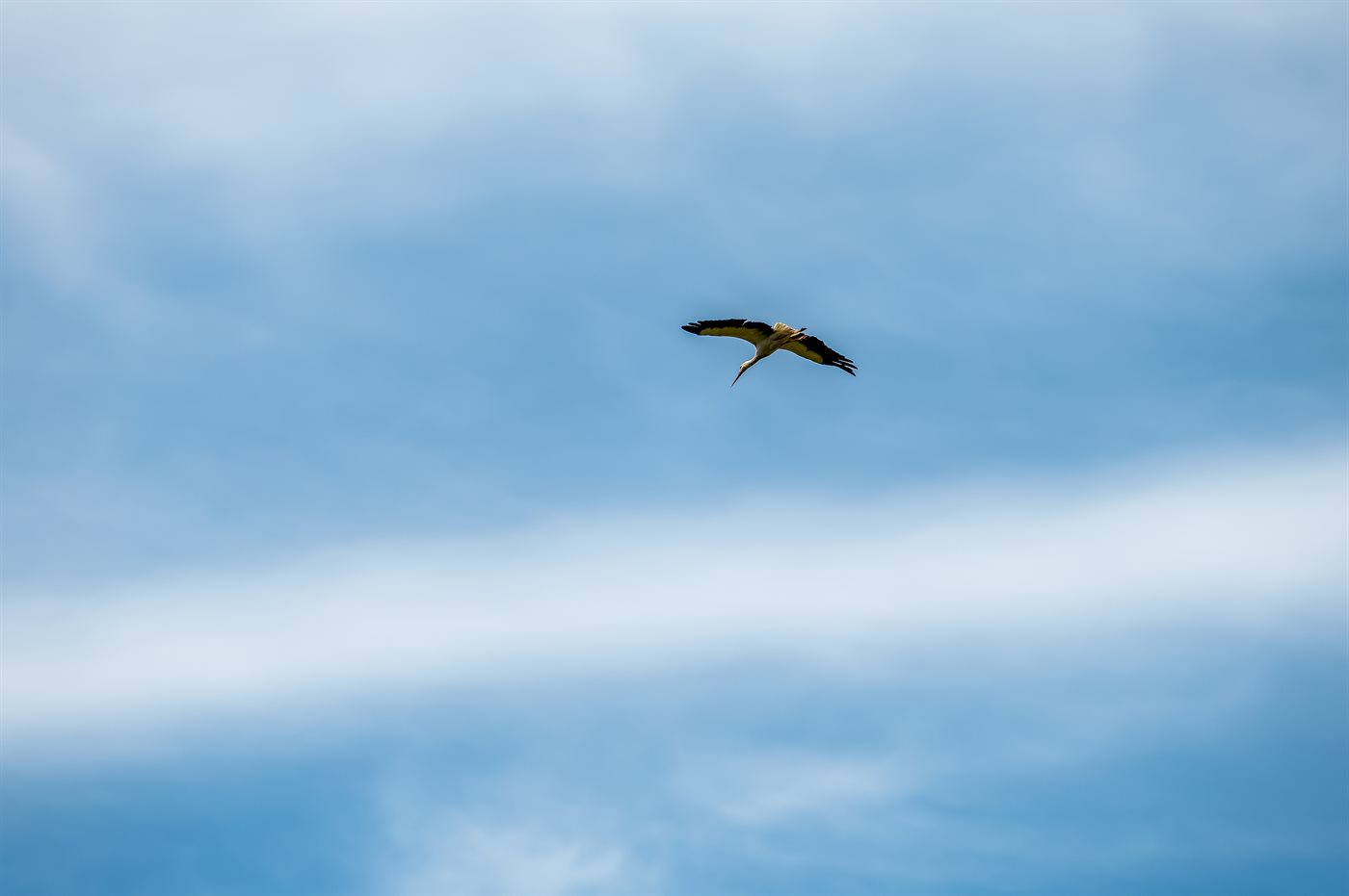 Urlaubstraum in Arrild: Entspannung und Abenteuer vereint! - Bild 3