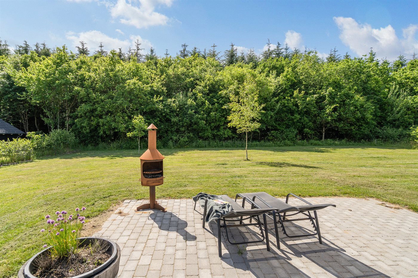 Urlaubsträume in Arrild – Dein Rückzugsort in Dänemark! - Bild 2