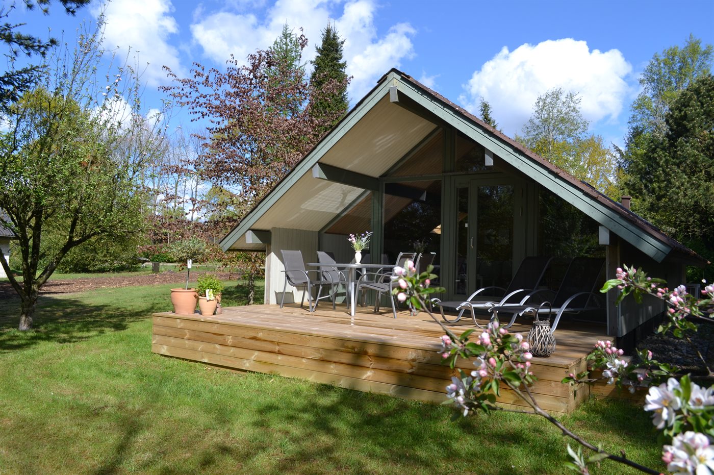 Urlaubsoase in Arrild – Dein Naturtraum wartet! - Bild 2