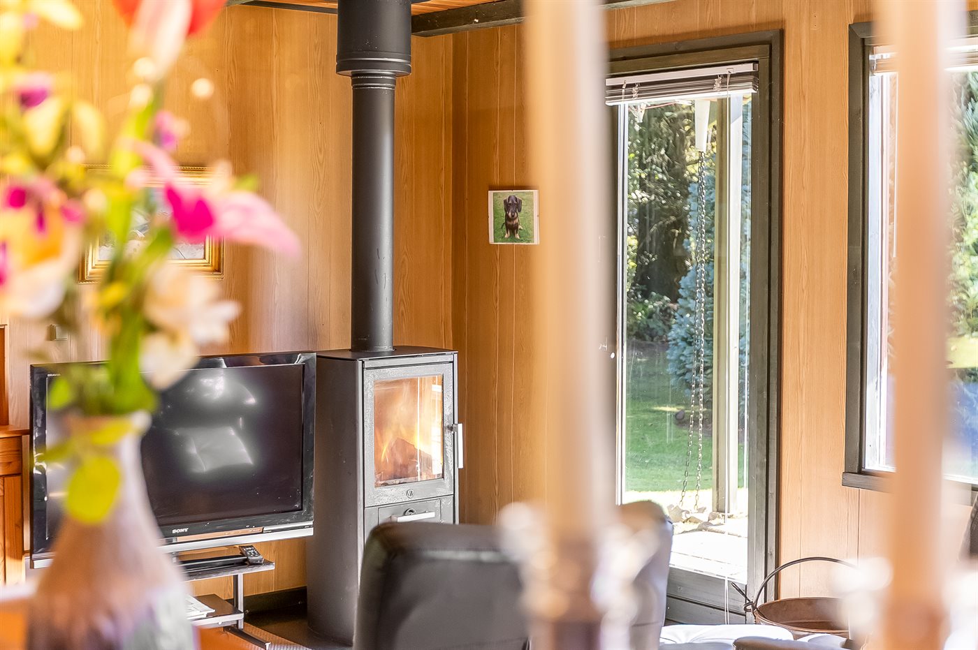 Gemütliches Ferienhaus mit Sauna und Kamin im grünen Arrild - Bild 3