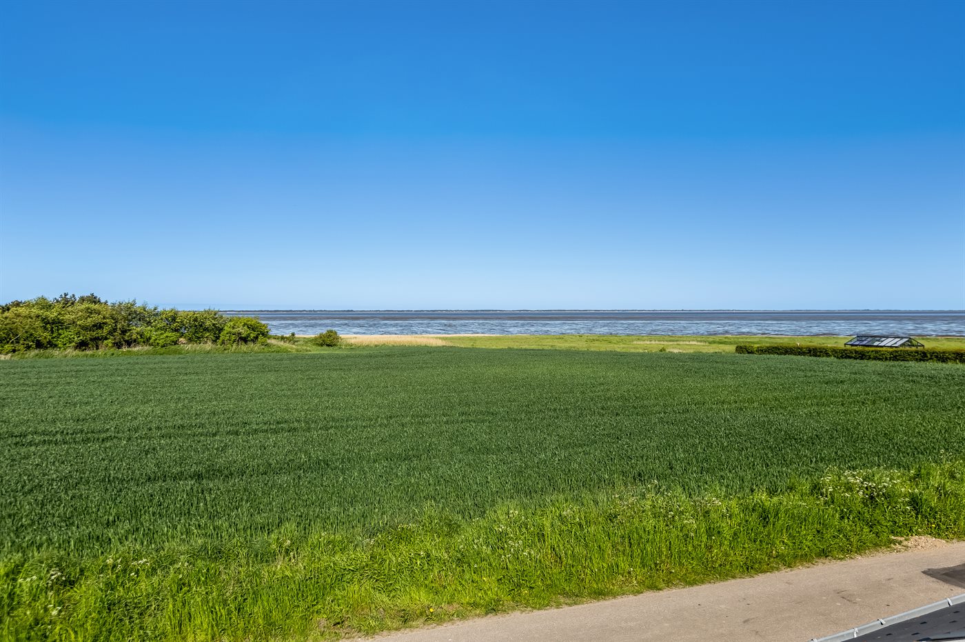 Entspannung pur: Dein idyllisches Ferienhaus am Wattenmeer - Bild 3