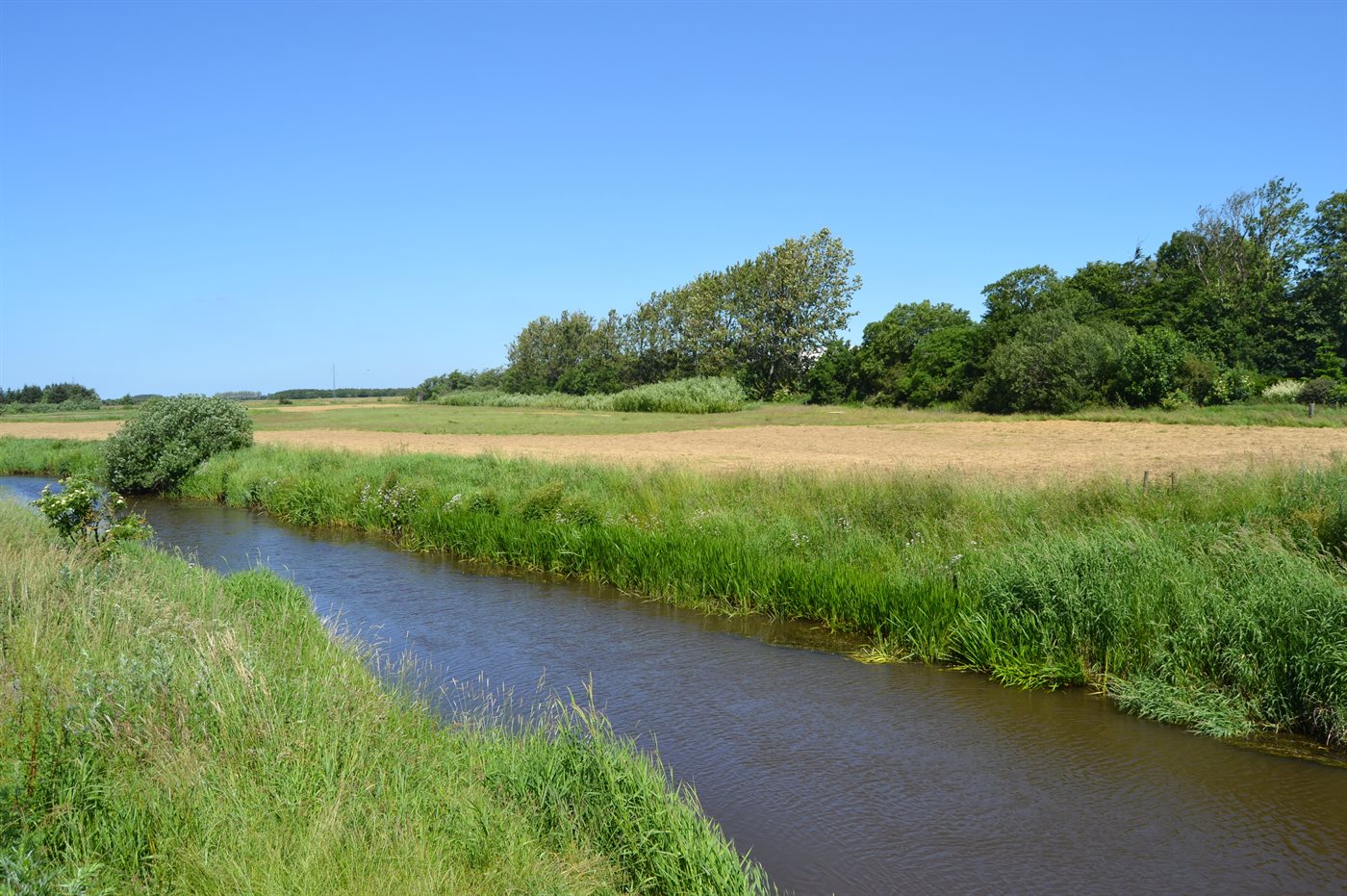 Ferienhaus 29-4031 in Bredebro - Bild 3