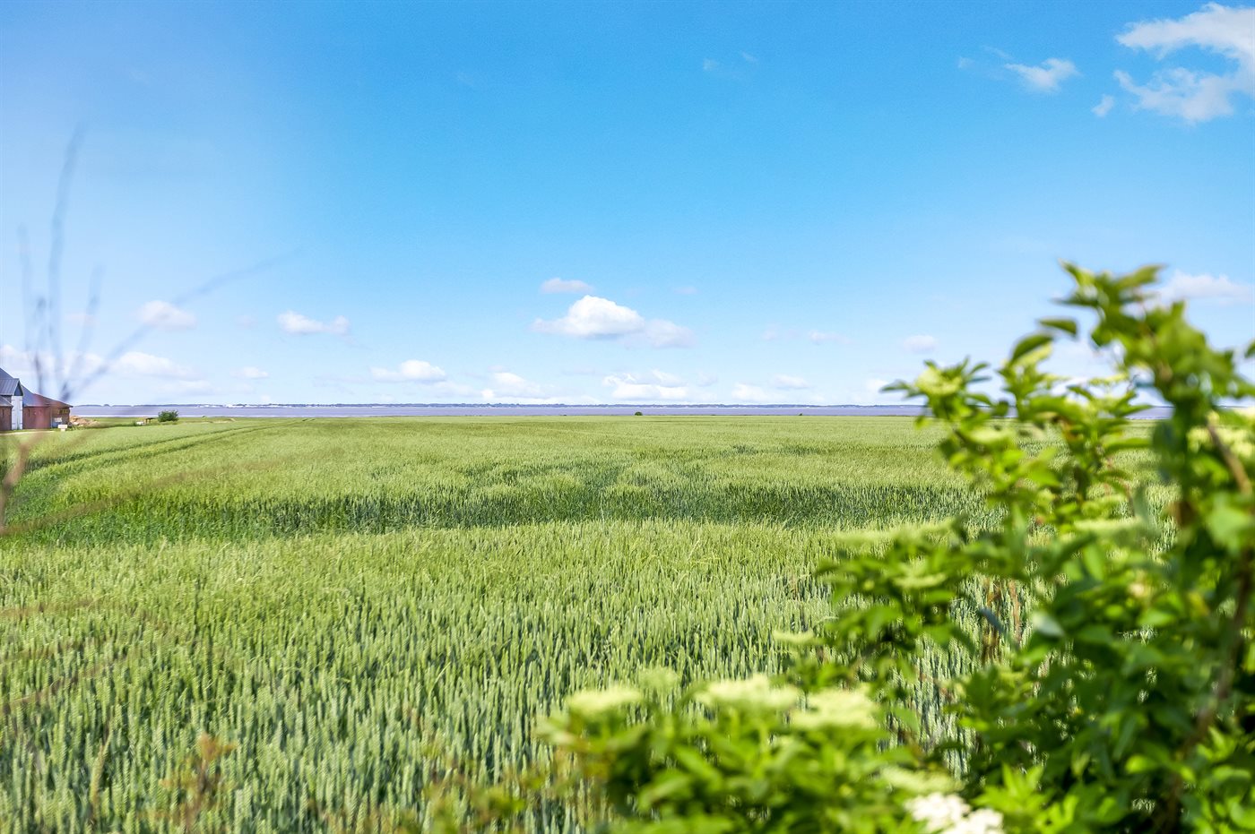 Dein Traumferienhaus mit Meerblick in Bredebro! - Bild 2