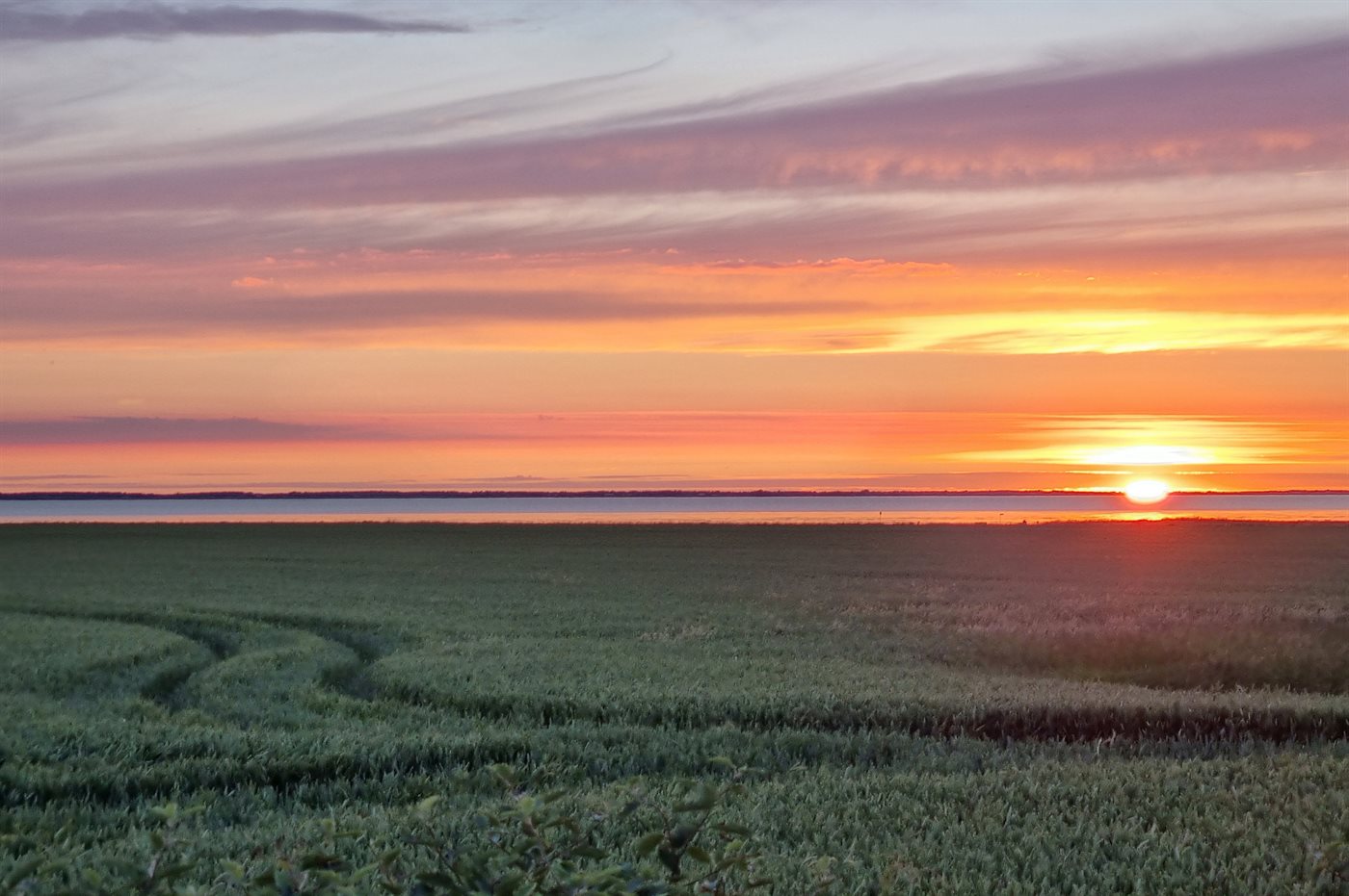 Dein Traumferienhaus mit Meerblick in Bredebro! - Bild 5