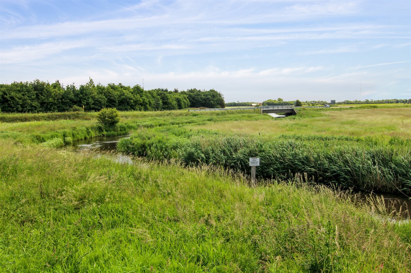 Ferienhaus 29-4072 in Bredebro - Bild 4