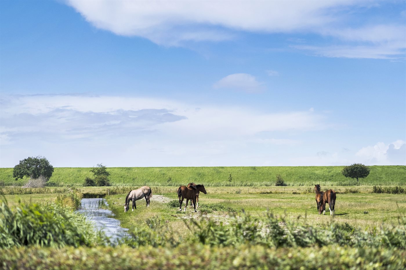 Entspannung pur: Dein traumhaftes Ferienhaus in Højer! - Bild 2