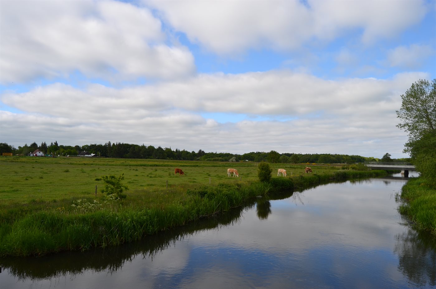 Ferienhaus 29-6000 in Ribe - Bild 3