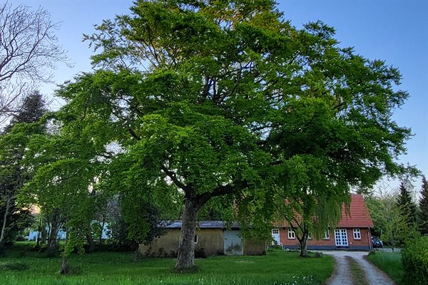 Sommerhus 32-6049