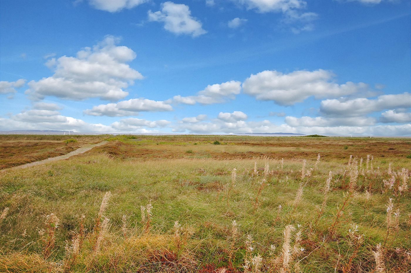 Ferienhaus 35-1104 in Trend - Bild 3