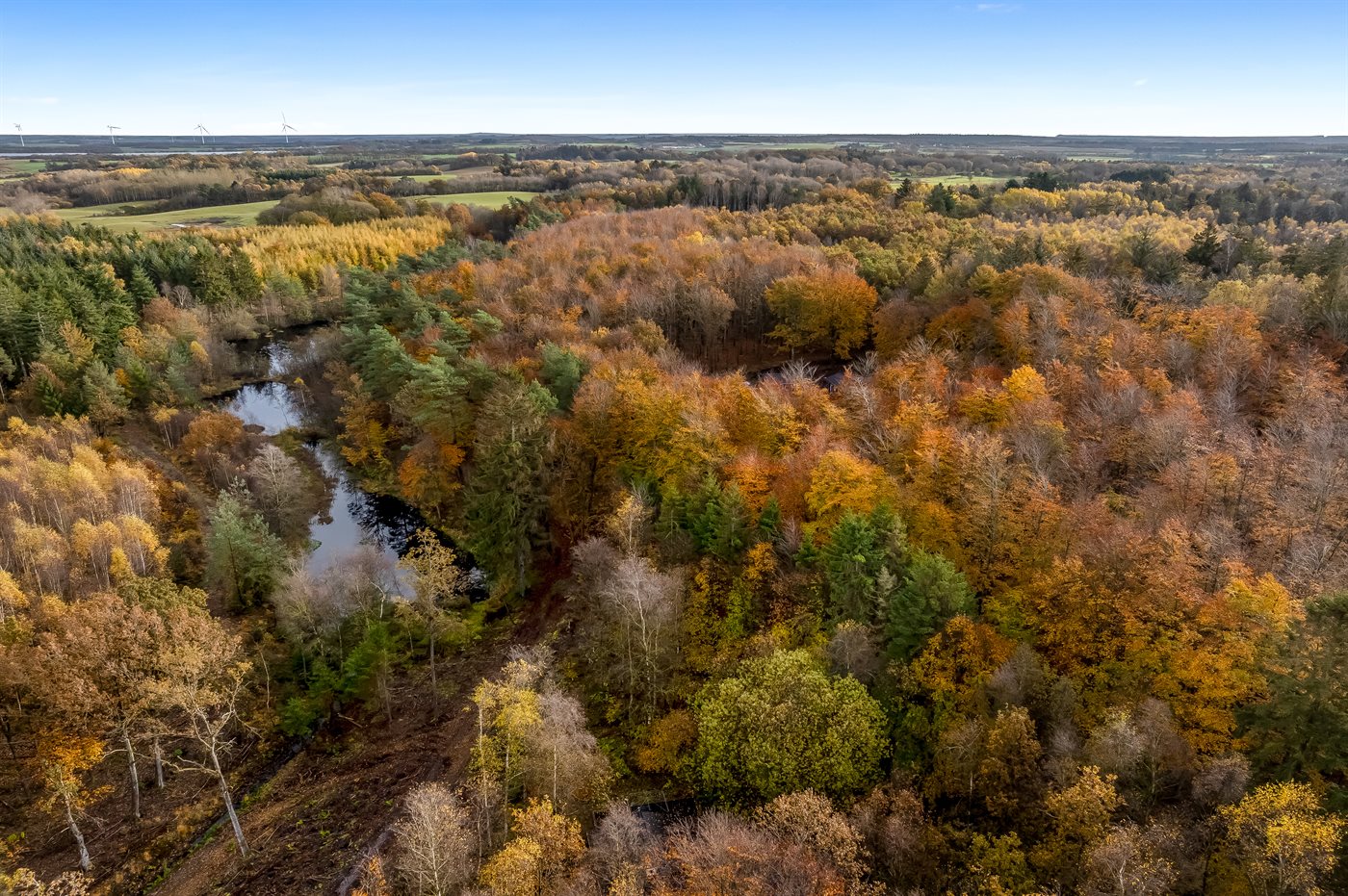 Ferienhaus 36-0015 in Gatten - Bild 3