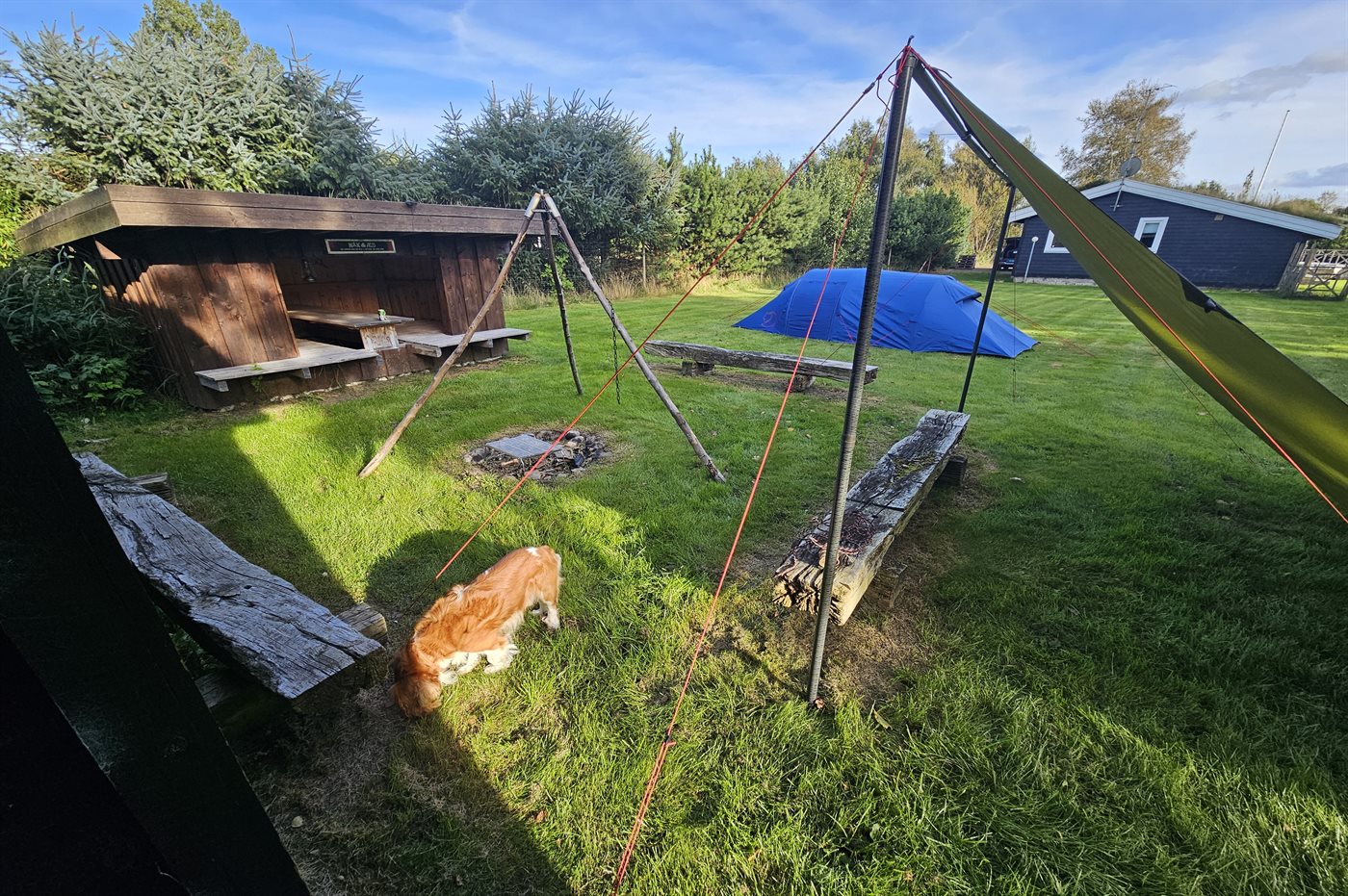 Gemütliches Familienhaus mit Sauna, Meerblick und viel Natur - Bild 3