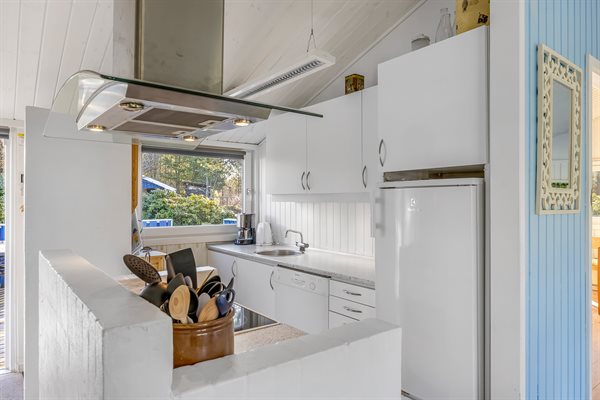 Sommerhus 41-0161