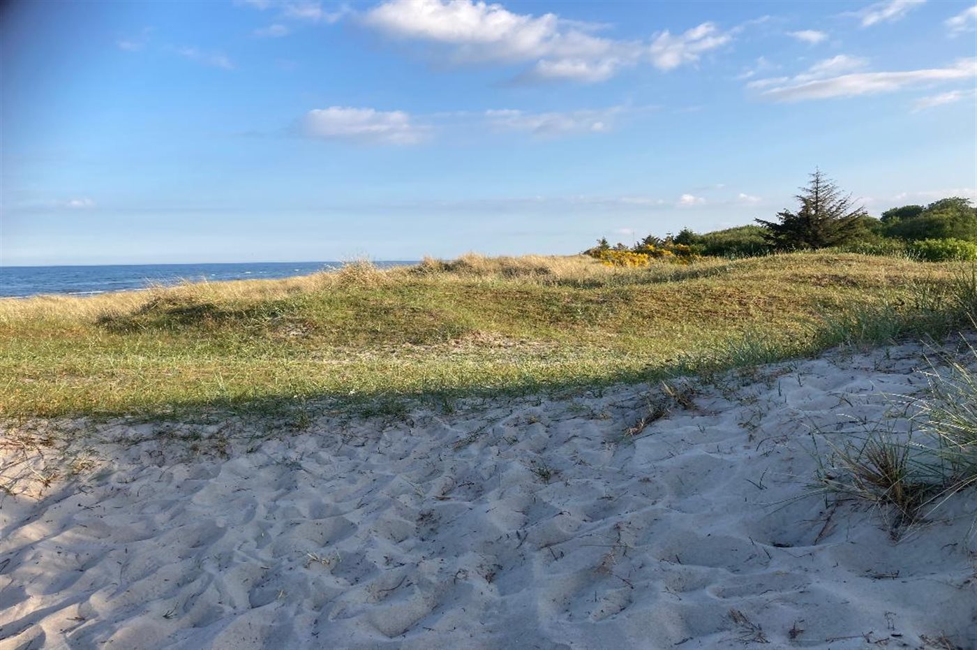 Ferienhaus Hou mit Meerblick – 6 Pers. & Hund willkommen