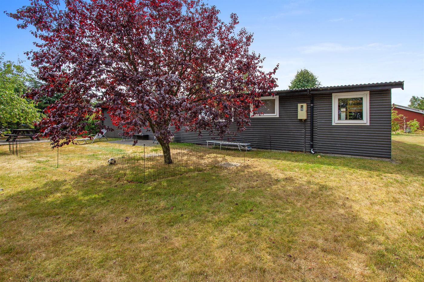 Gemütliches Ferienhaus Hou mit Hund – nah am Fjord - Bild 2