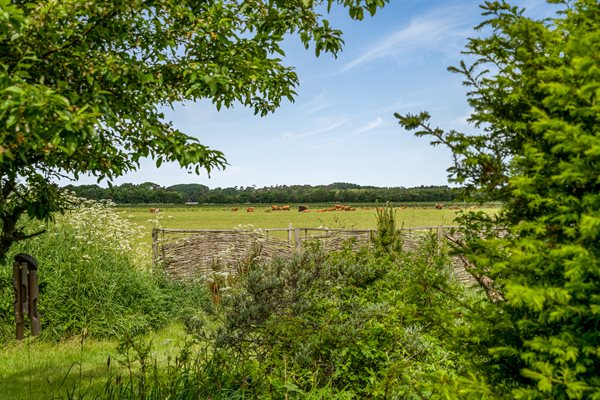 Sommerhus 44-0493