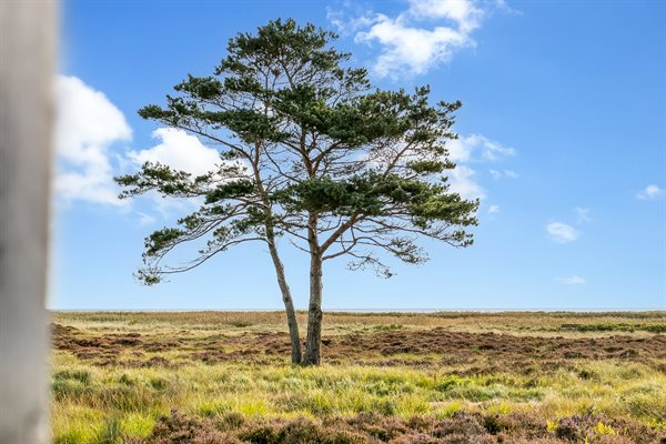 Sommerhus 44-0590