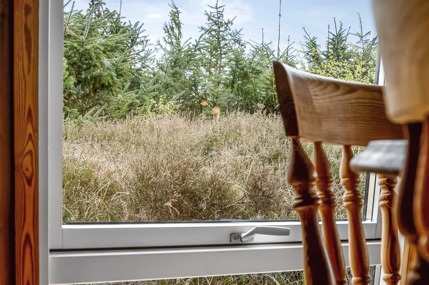 Urlaubsglück an der Küste: Dein Ferienhaus in Hals! - Bild 4