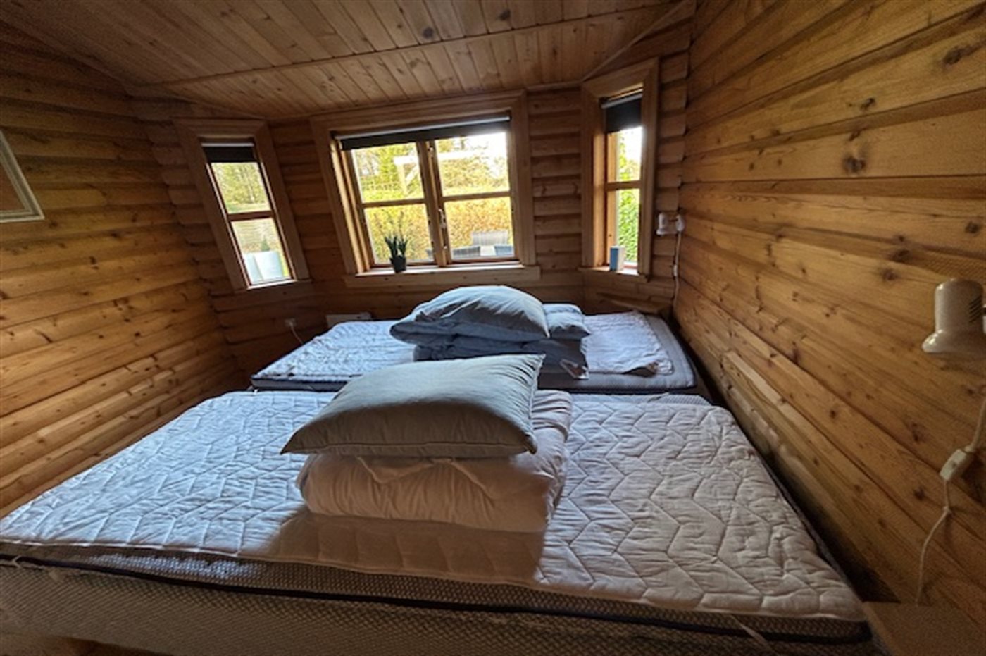 Gemütliches Ferienhaus Egense mit Hund | 8 Personen - Bild 5