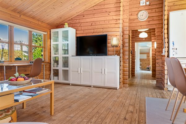 Sommerhus 45-0160