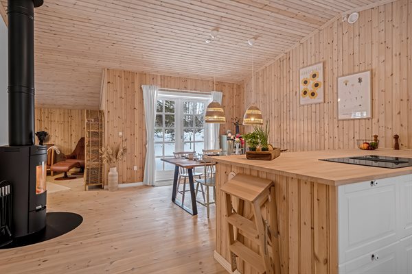 Sommerhus 45-4055