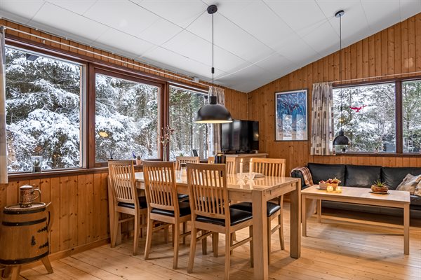 Sommerhus 45-4136