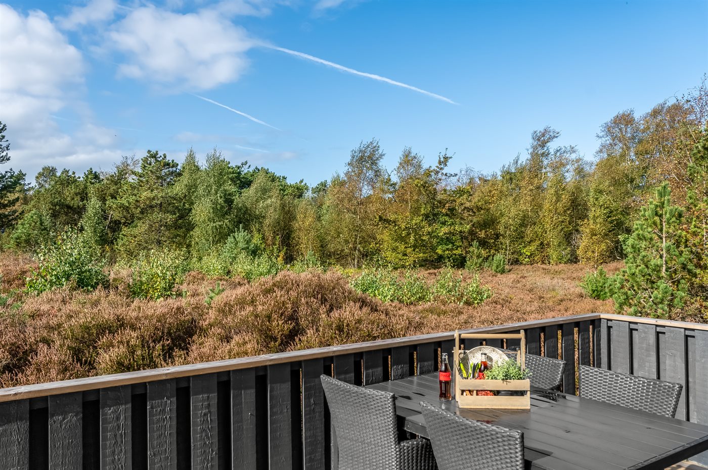Ferienhaus 47-1006 in Läsö, Nordmarken - Bild 2