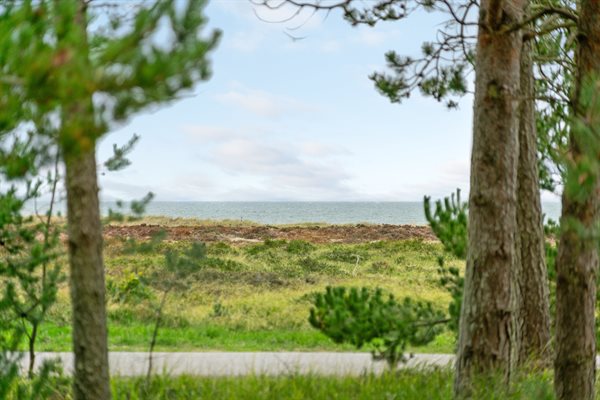 Sommerhus 47-2024