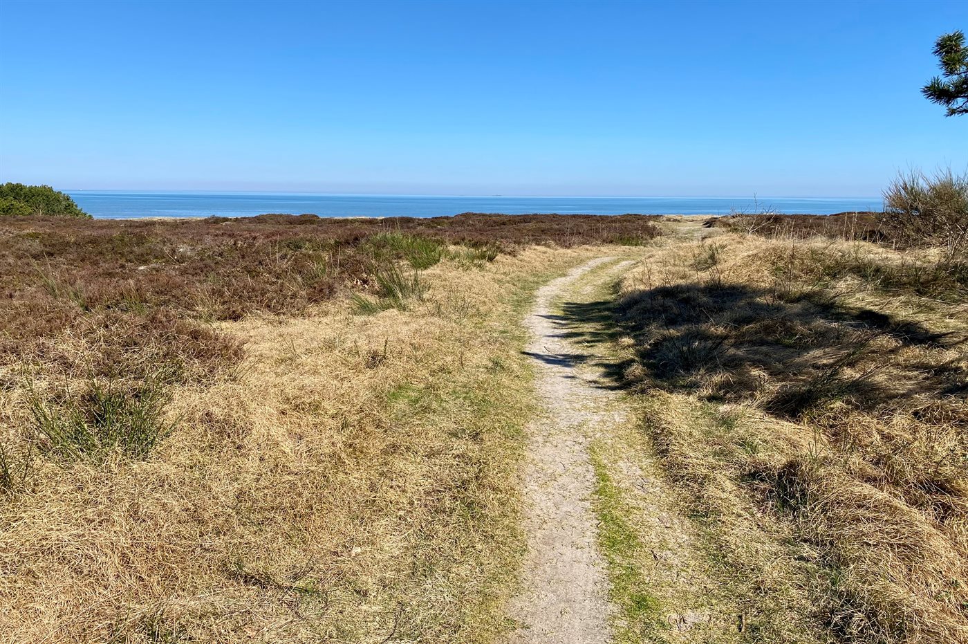 Ferienhaus 47-3091 in Läsö, Vesterö - Bild 4
