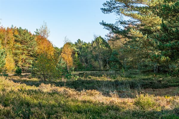 Feriebolig til 6 personer - Laso, Osterby47-4014