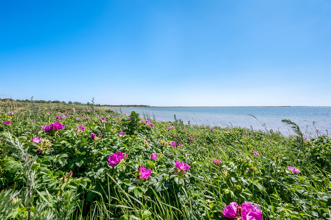 Meerblick, Sauna & Natur – Urlaubsglück am Öer Strand - Bild 2