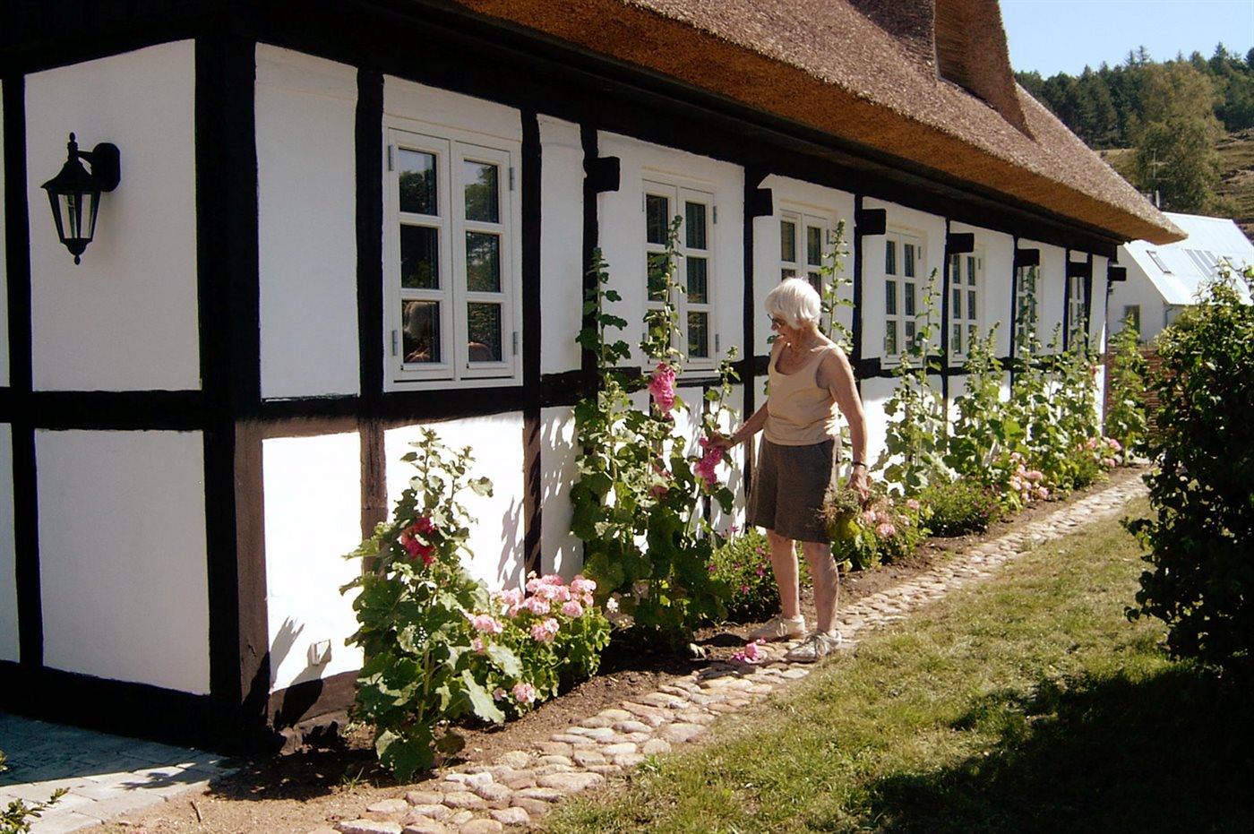 Ferienhaus 53-2152 in Knebel - Bild 2