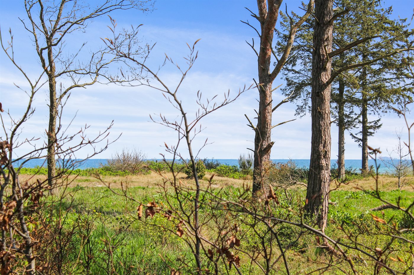 Dein Küstenparadies: Entspanntes Ferienhaus in Saksild Strand - Bild 2