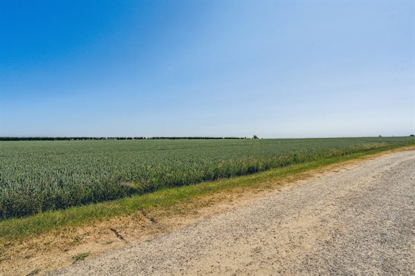 Sommerhus 62-1036