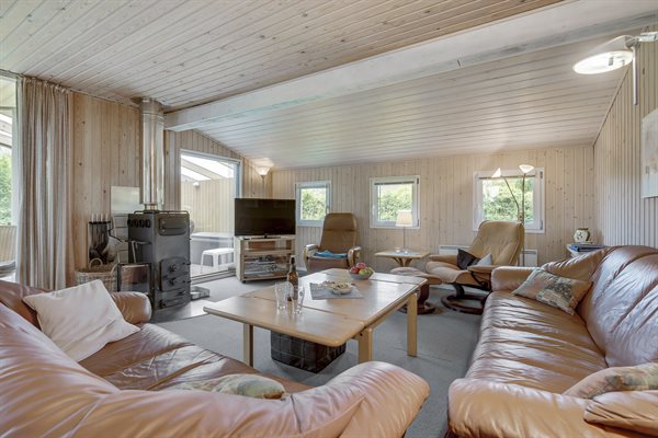 Sommerhus 66-0134