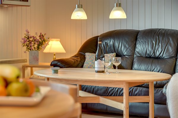 Sommerhus 66-0160