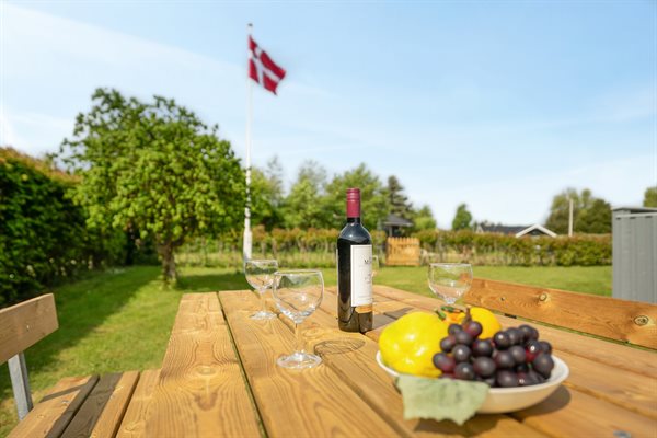 Sommerhus 66-0160