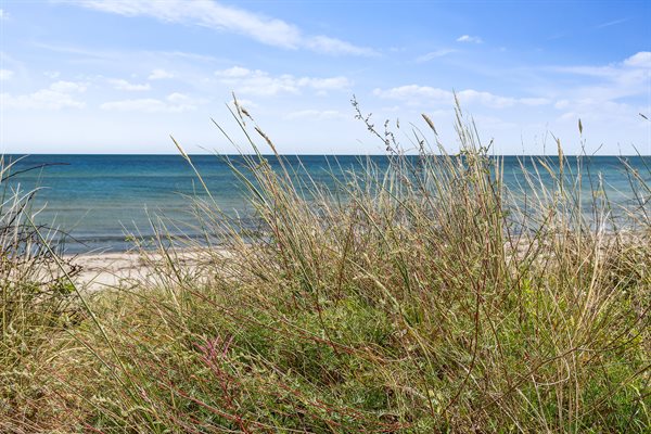 Feriebolig til 6 personer - Gedesby Strand81-0172