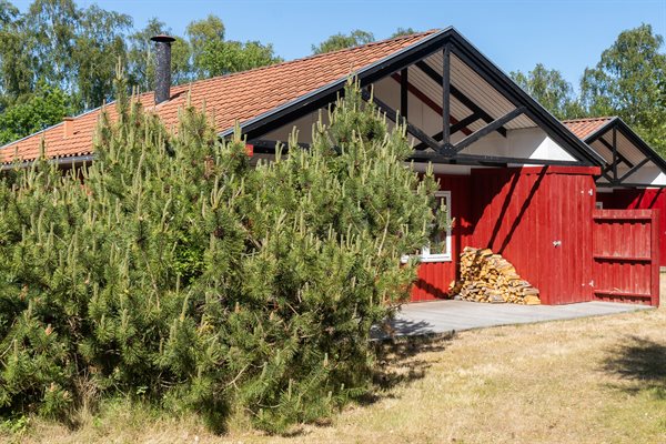 Feriebolig til 6 personer - Marielyst82-0968