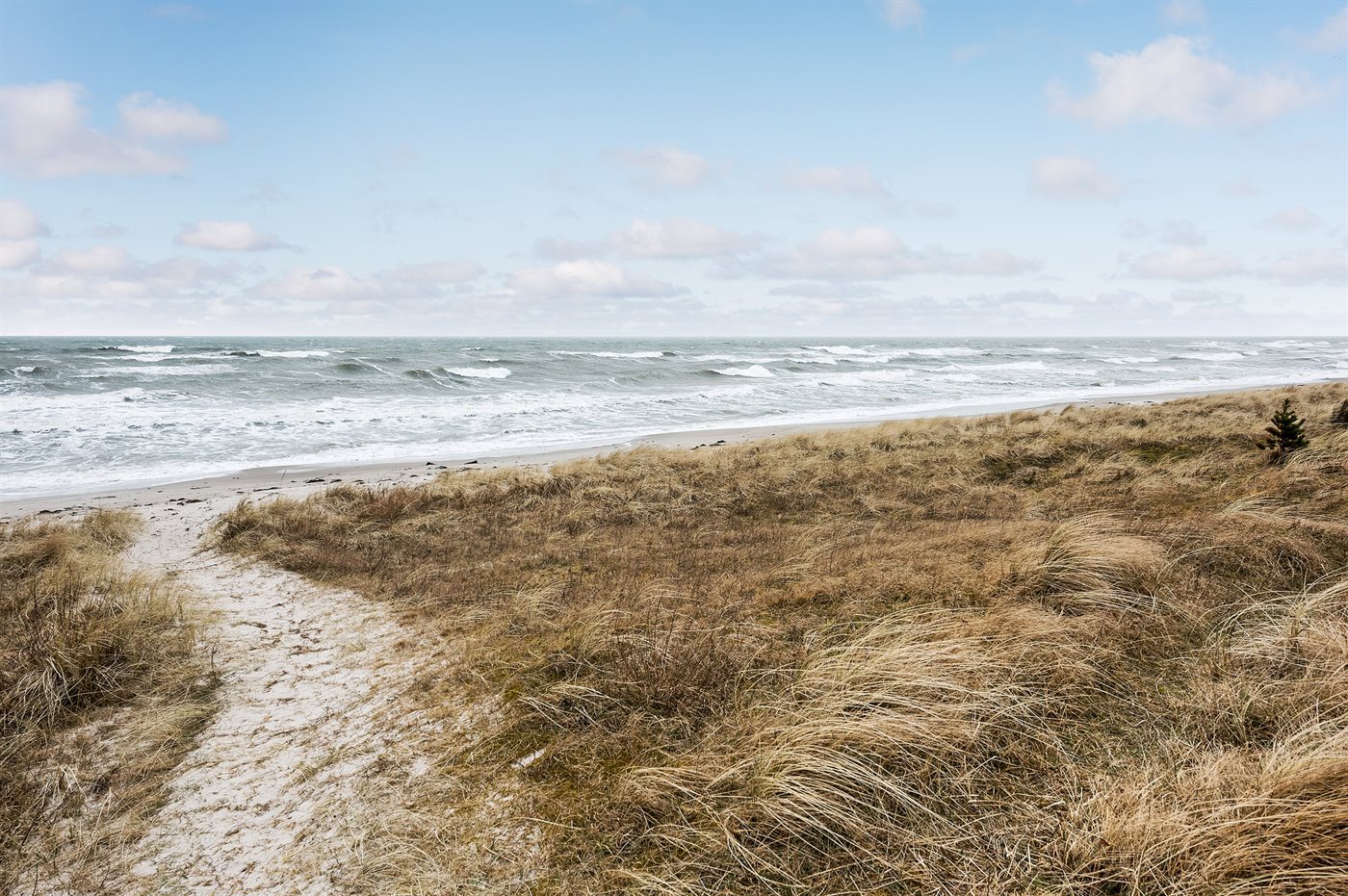 Urlaubsparadies in Marielyst – Strandnah und gemütlich! - Bild 4