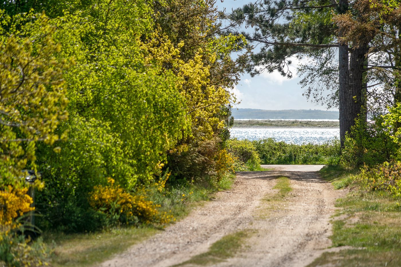 Urlaubstraum in Rørvig: Dein gemütliches Ferienhaus! - Bild 5