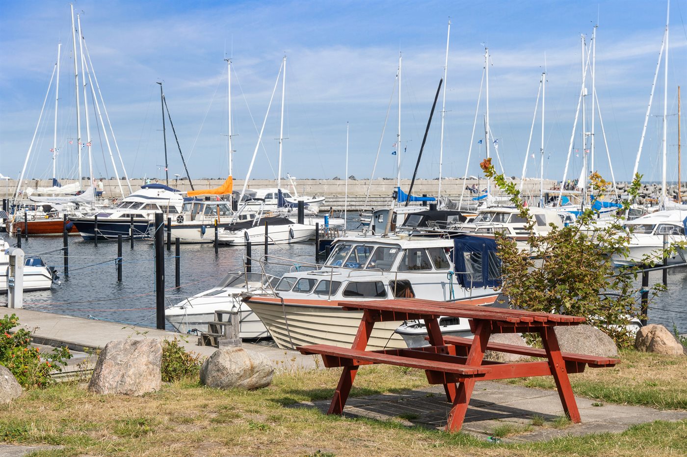 Lyngbugten 48 - Sjællands Odde, Sjælland - hovedbillede