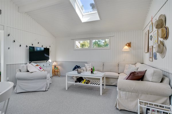 Sommerhus 91-1041